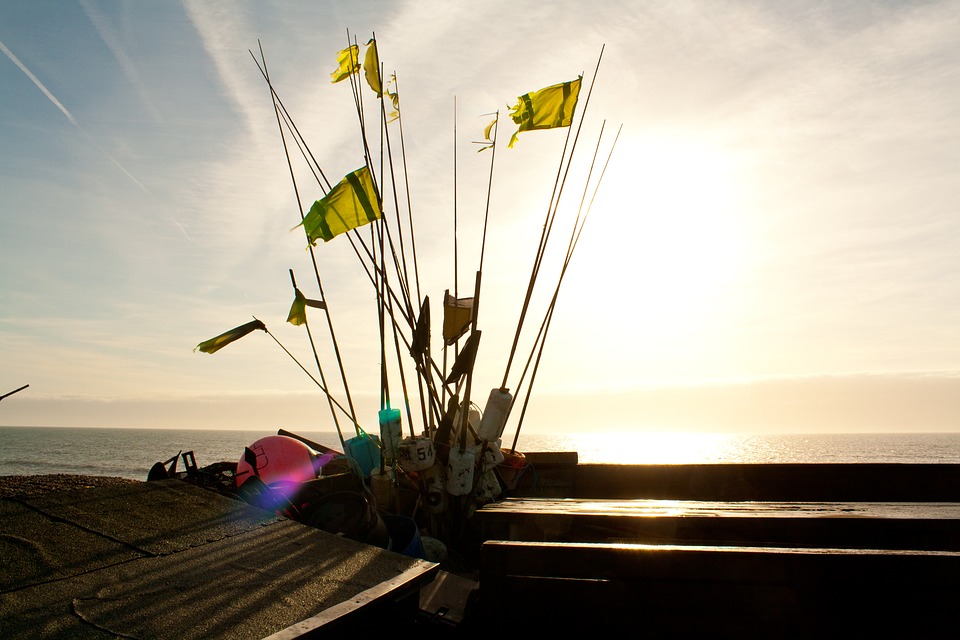 GoGecko Help Find Jobs in Worthing